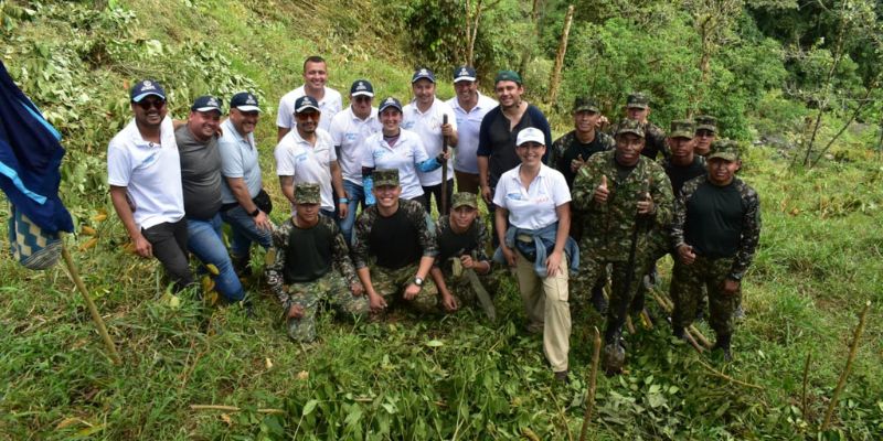 Más de 3.180 árboles sembrados ayudan a reducir riesgos por incendios y proteger fuentes hídricas en Cundinamarca