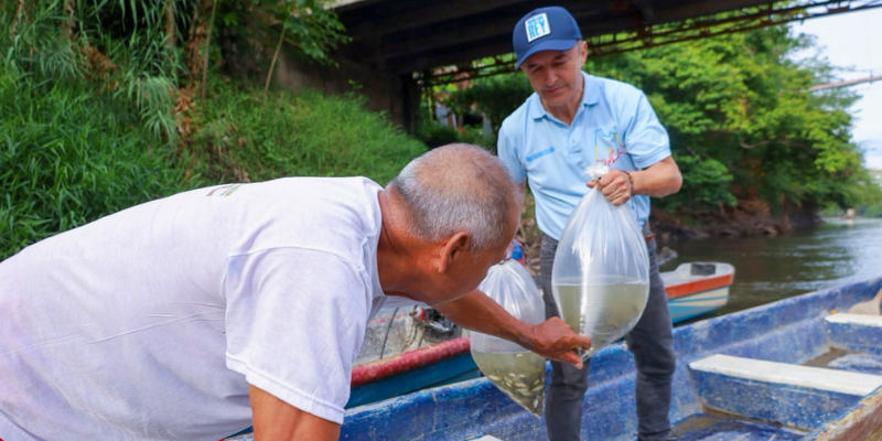 Cundinamarca supera los 870.000 peces sembrados para recuperar las especies nativas del río Magdalena