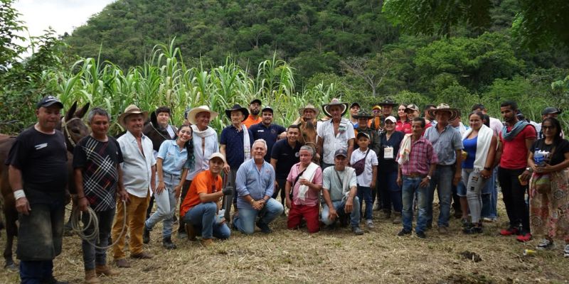 Jornada veterinaria benefició a caballos y mulas de la vereda Galindo, entre Útica y La Peña
