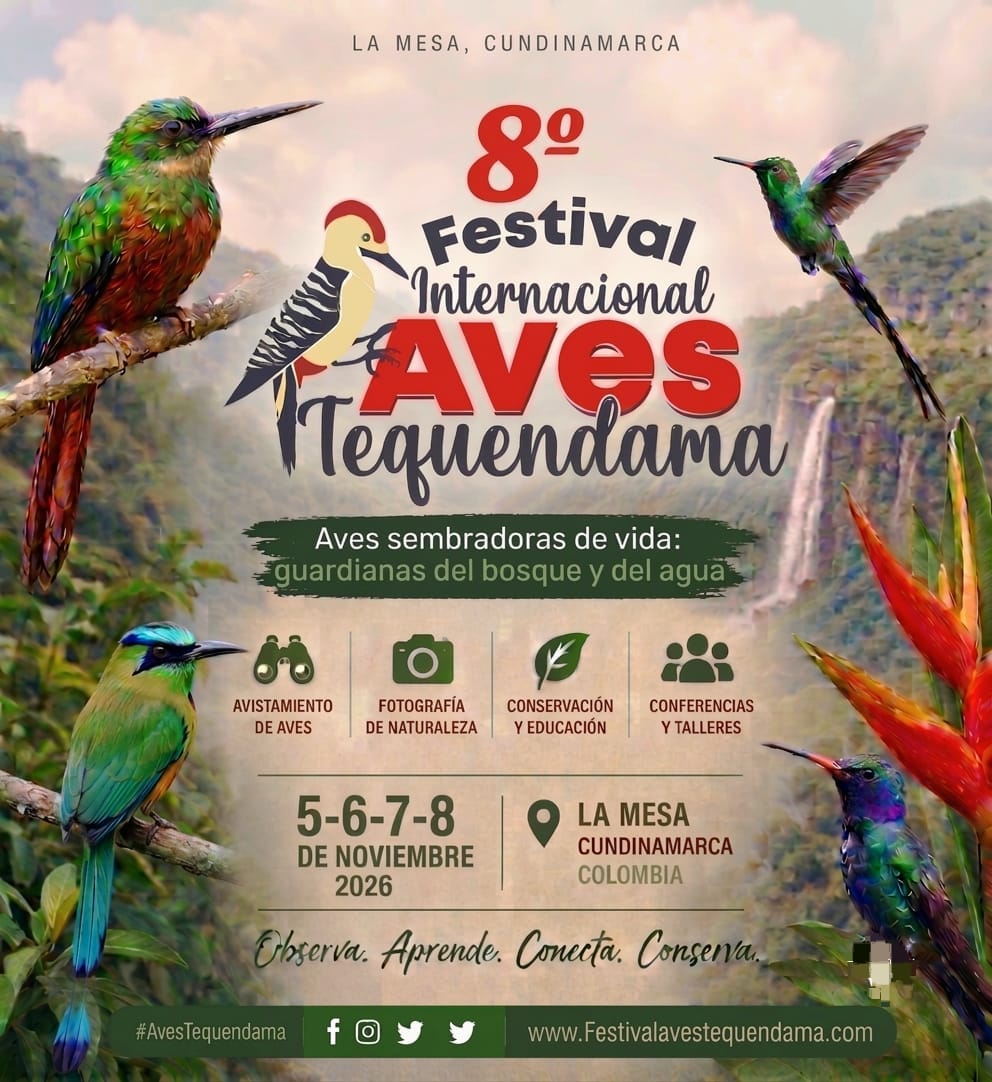 Festival Internacional Aves Tequendama 2026: el encuentro que une naturaleza, turismo, cultura y conservación en el corazón de Cundinamarca