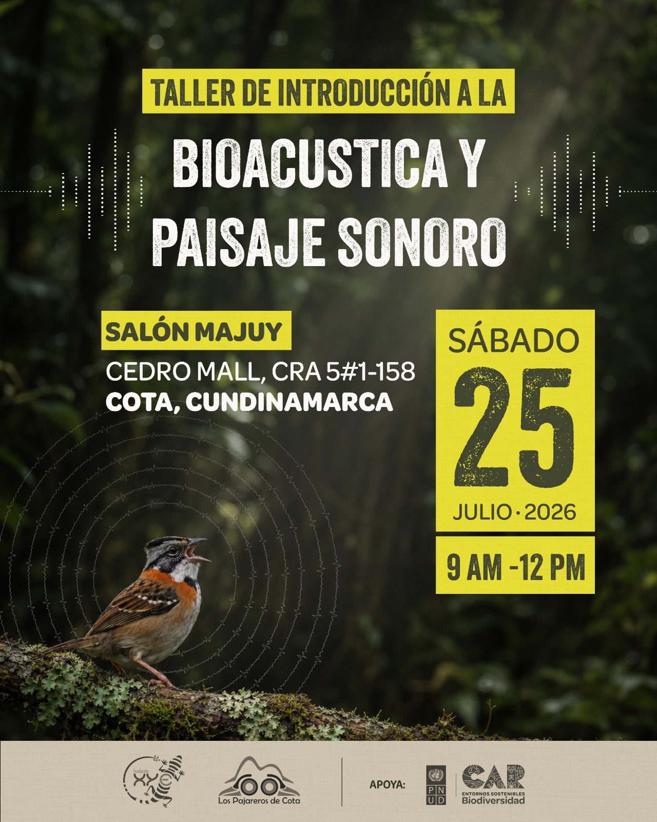Taller de Bioacústica y Paisaje Sonoro en Cota: una invitación a escuchar la naturaleza con otros sentidos