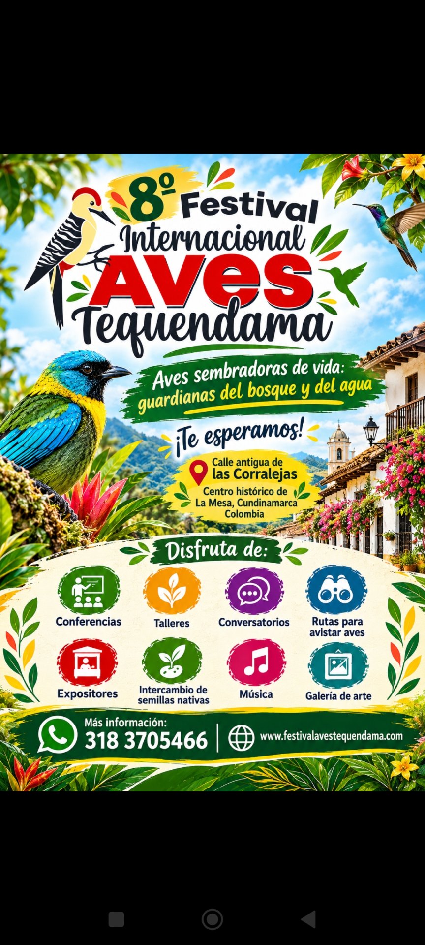 8.º Festival Internacional de Aves Tequendama: naturaleza, cultura y aviturismo en La Mesa
